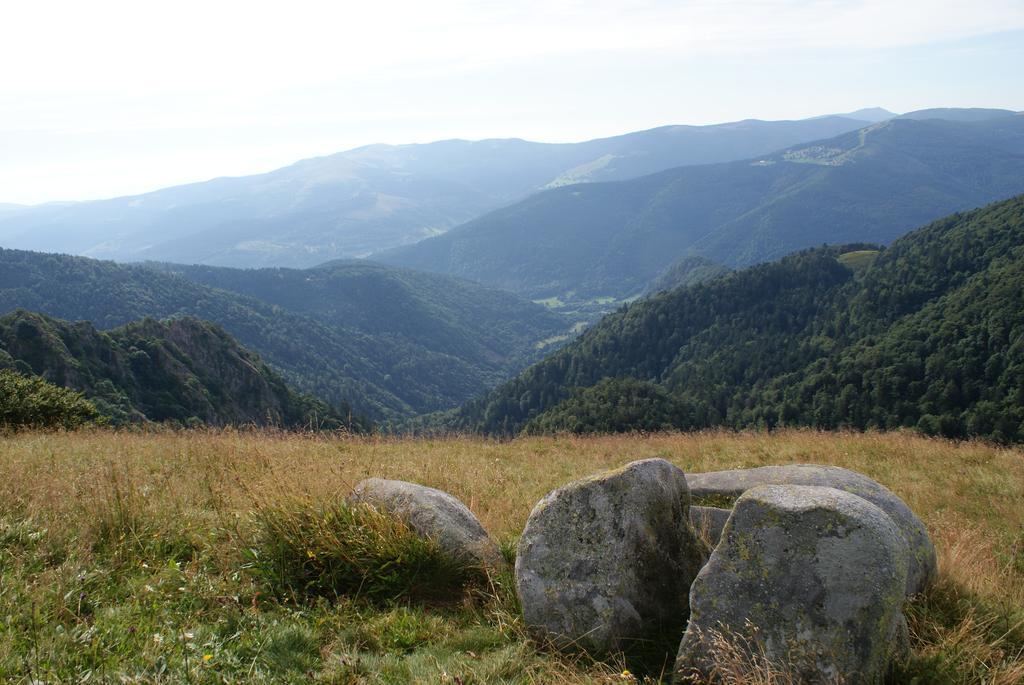 Les Chalets des Chatelminés La Bresse Exterior foto