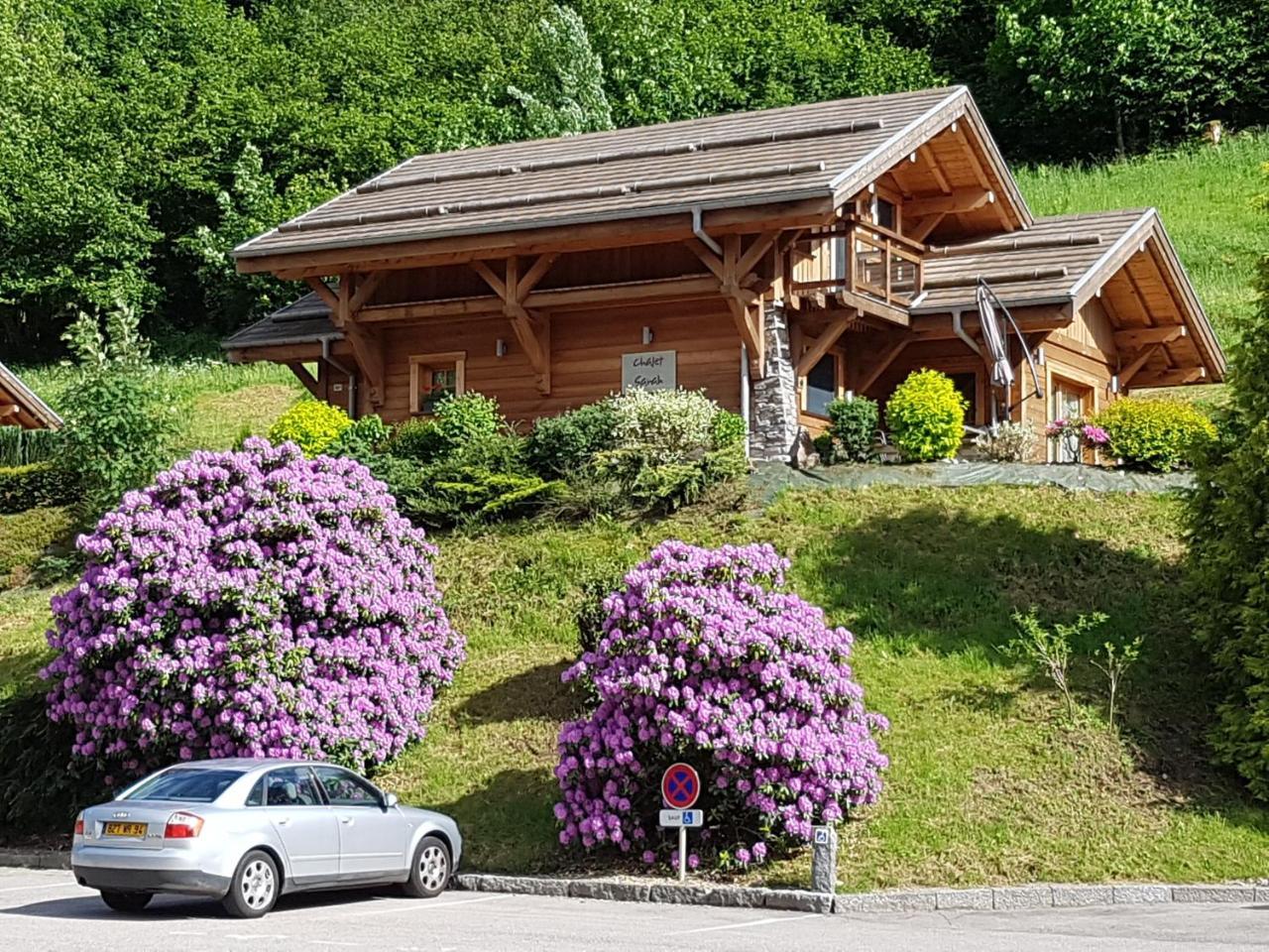 Les Chalets des Chatelminés La Bresse Exterior foto